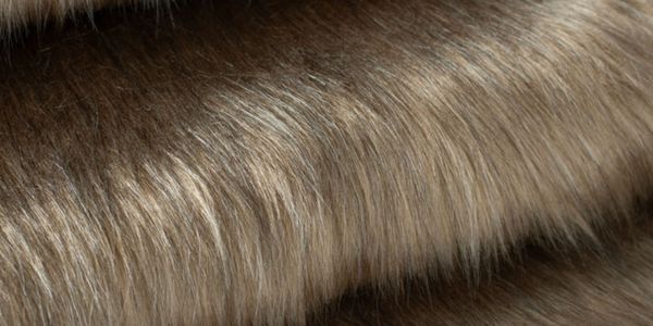 Fur — illustration 1