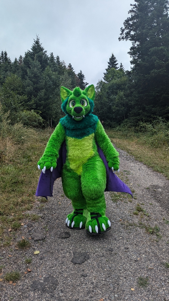 
A dark forest - Photo 3