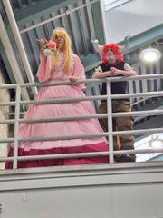 Bowser/Peach preview 3