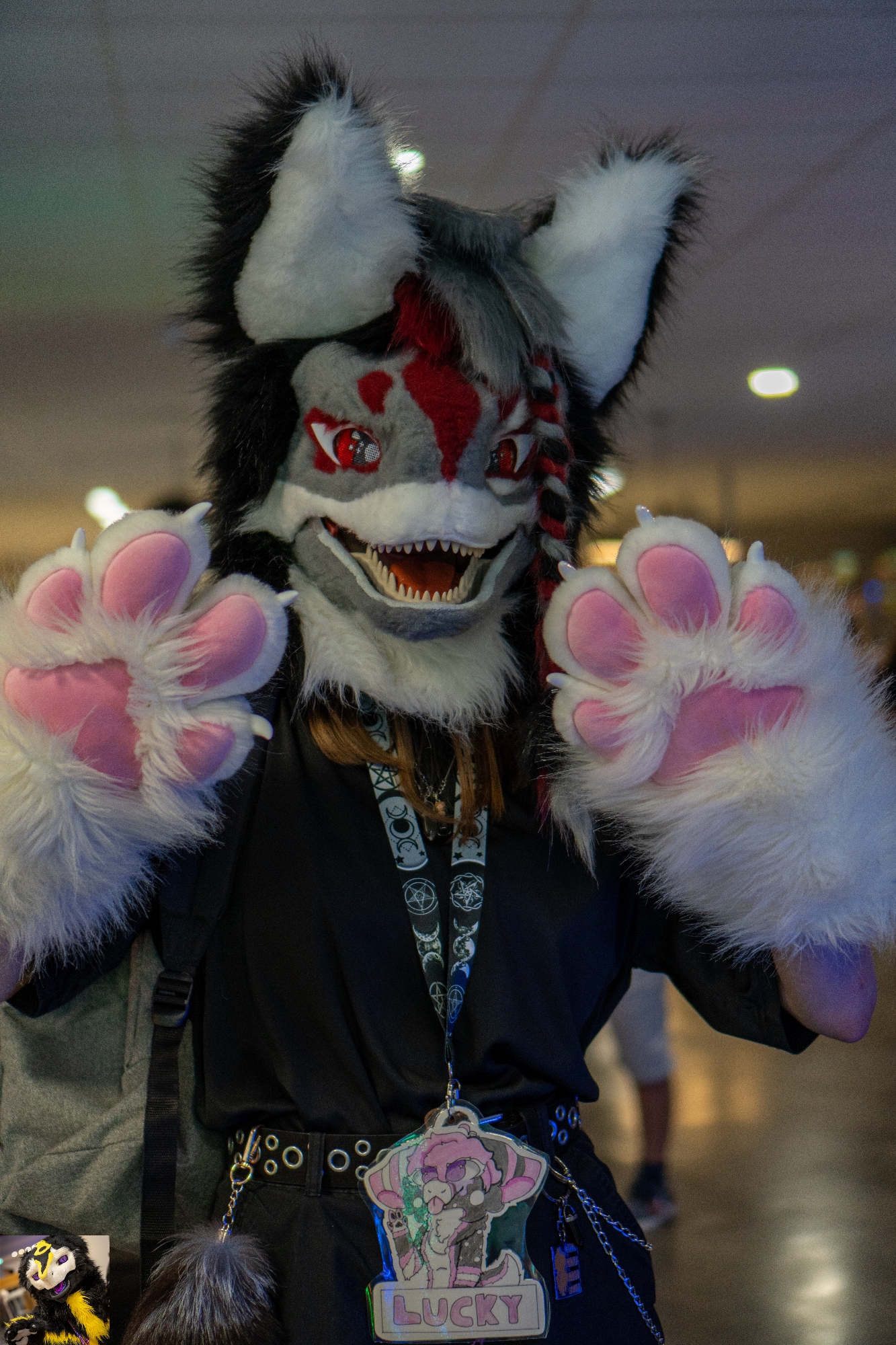 Conv/furmeet  - Photo 6
