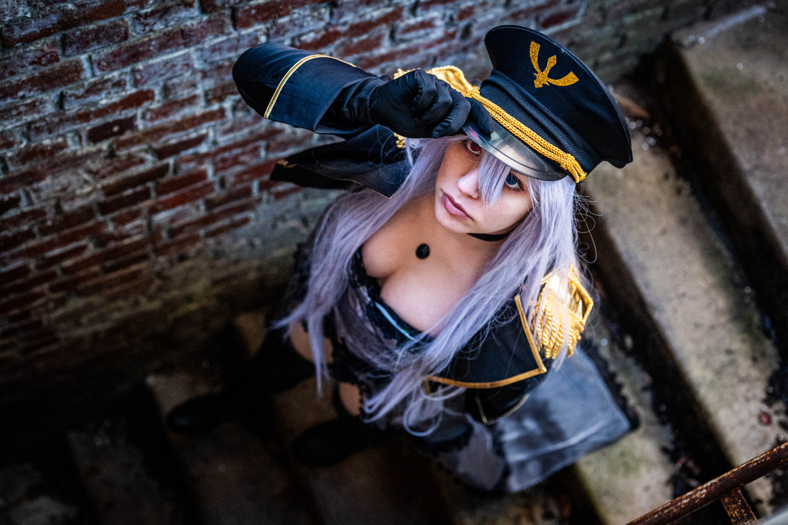 Black lobelia  - Photo 1