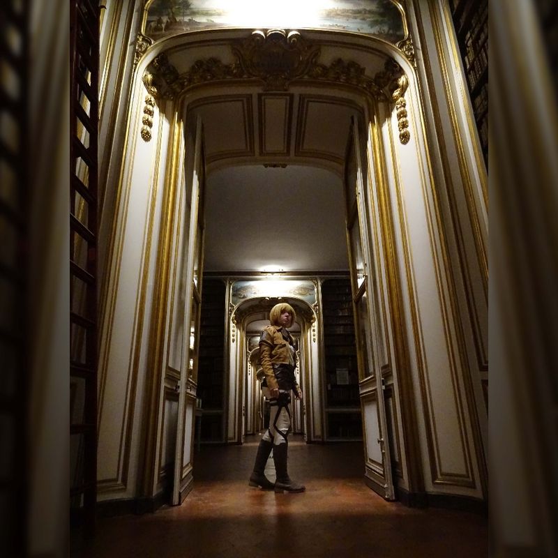 Didoups – Armin bibliothèque