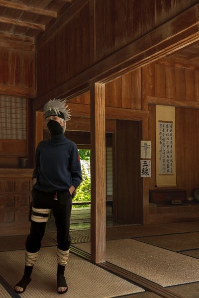 Zilly - Kakashi