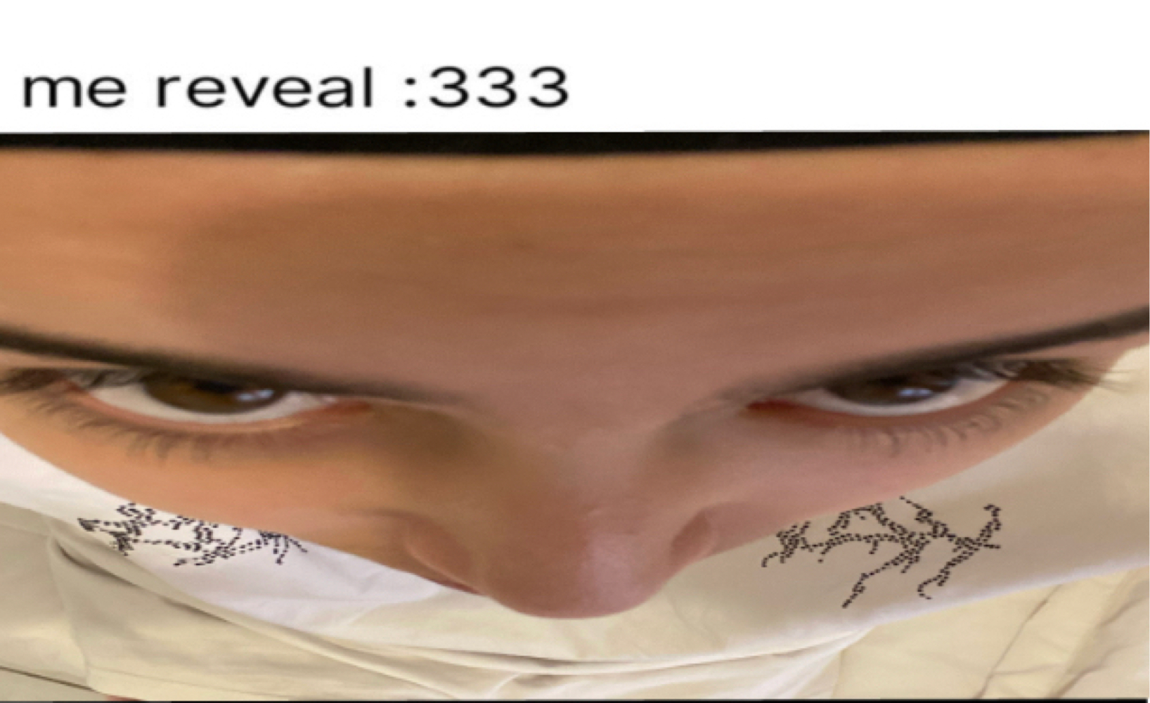 Kai’s silly memes — photo 21