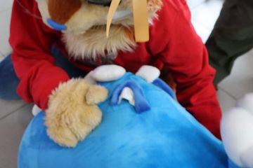 Blue preview 3