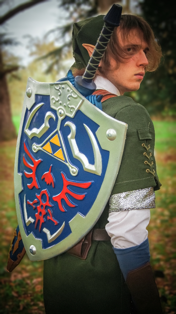 Link in the forest — photo 5
