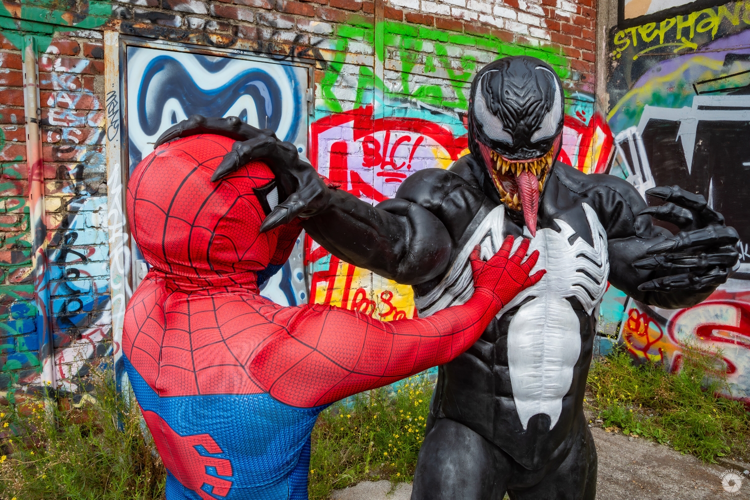Ravengers — photo 22