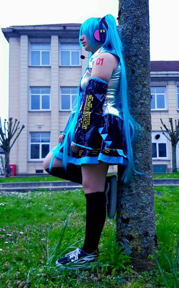 Hatsune miku — photo 8