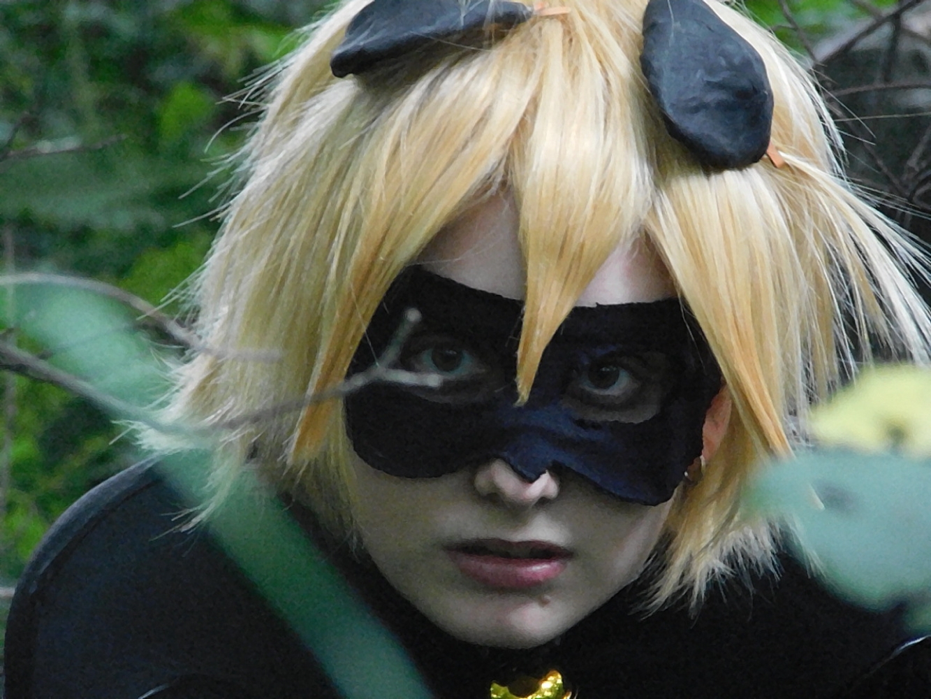 Chat Noir - Photo 27