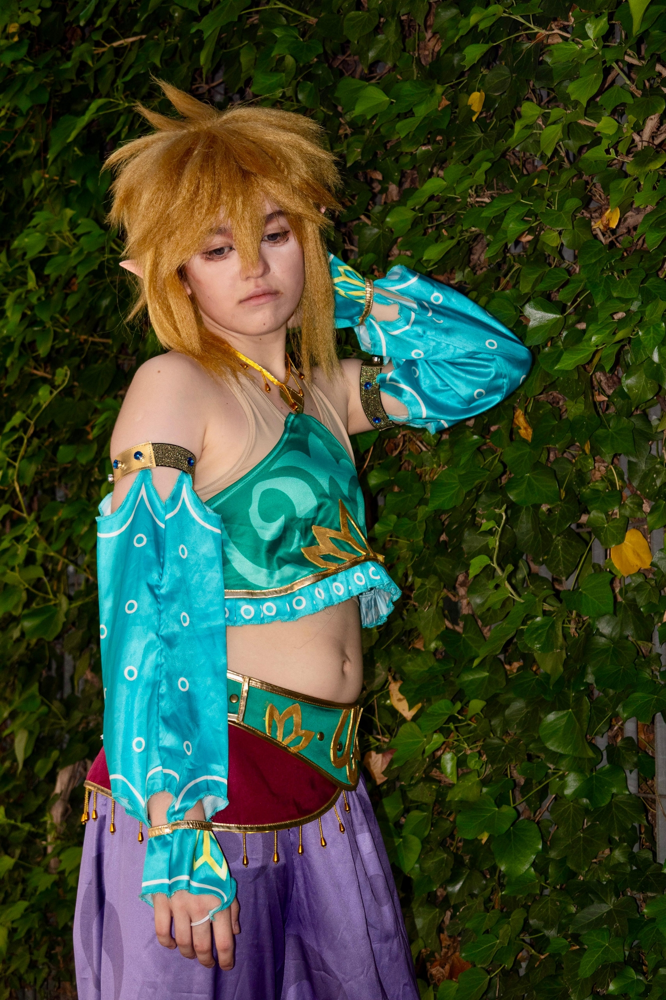 Link gerudo — photo 5