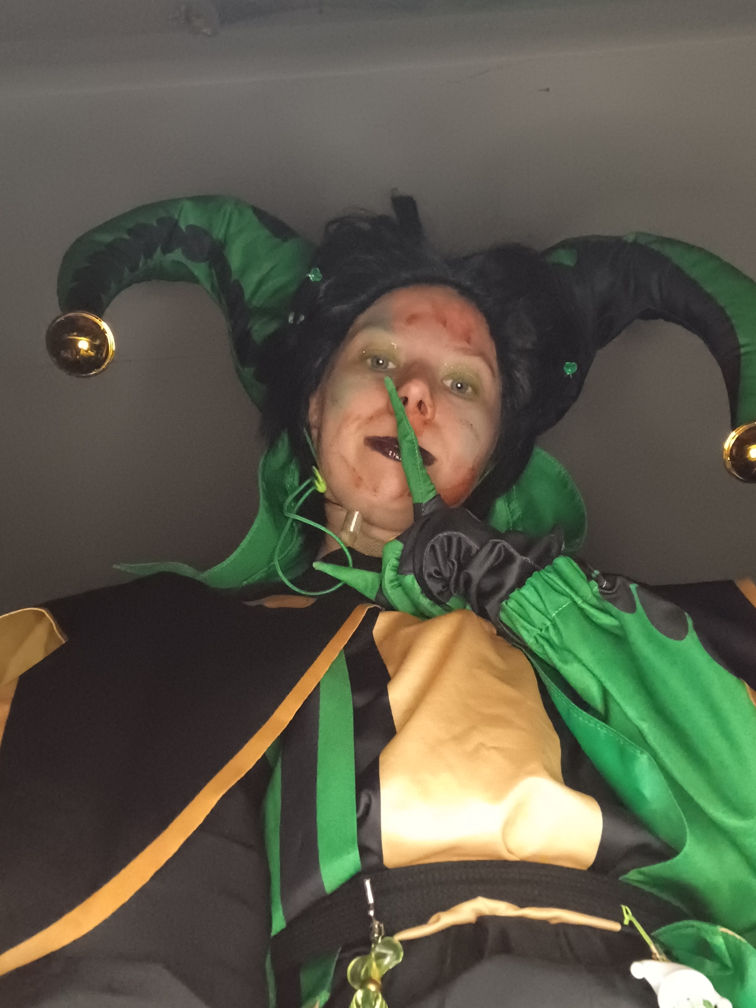 Harlequin, photo 38