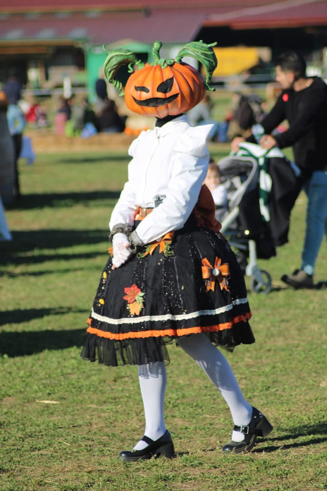 Lady Pumpkin  - Photo 6