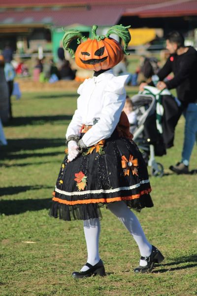 Mother_of_gatti - Lady Pumpkin 