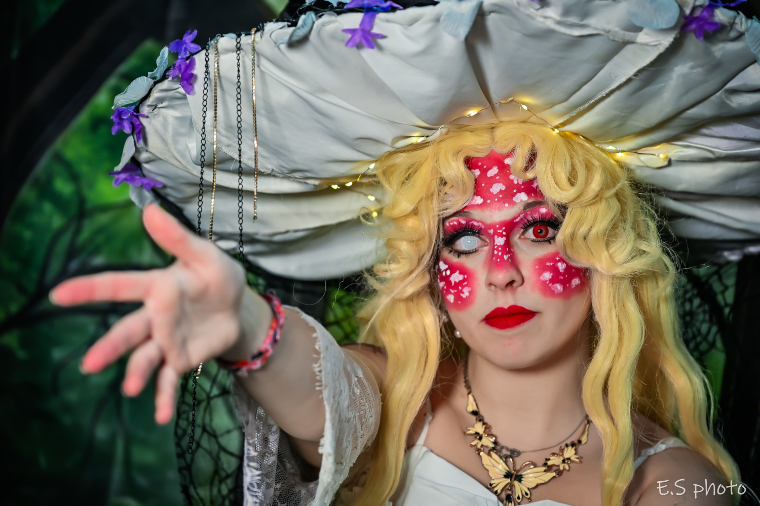 Oc champignon ver2  - Photo 3