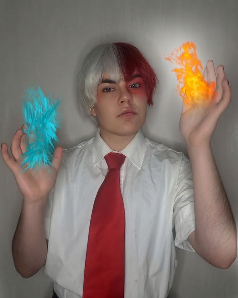 Petit_ornithorynque_ - Shoto Todoroki