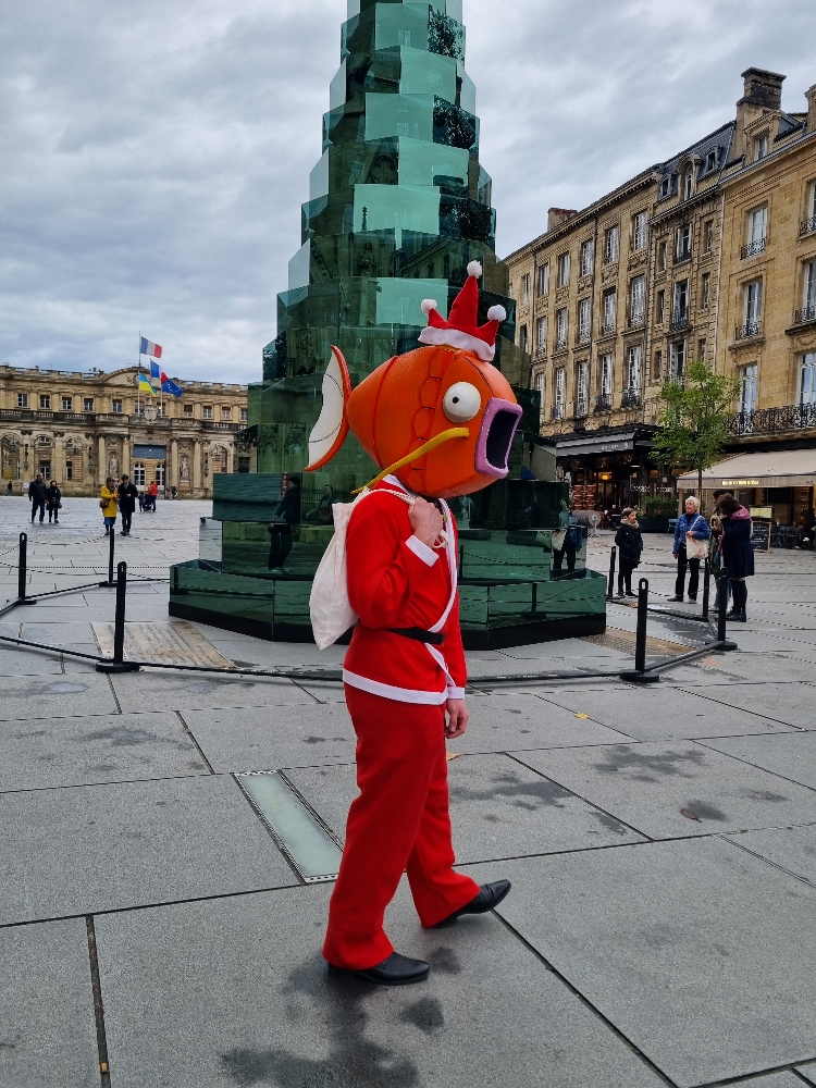 Magicarpe à Noël  - Photo 2