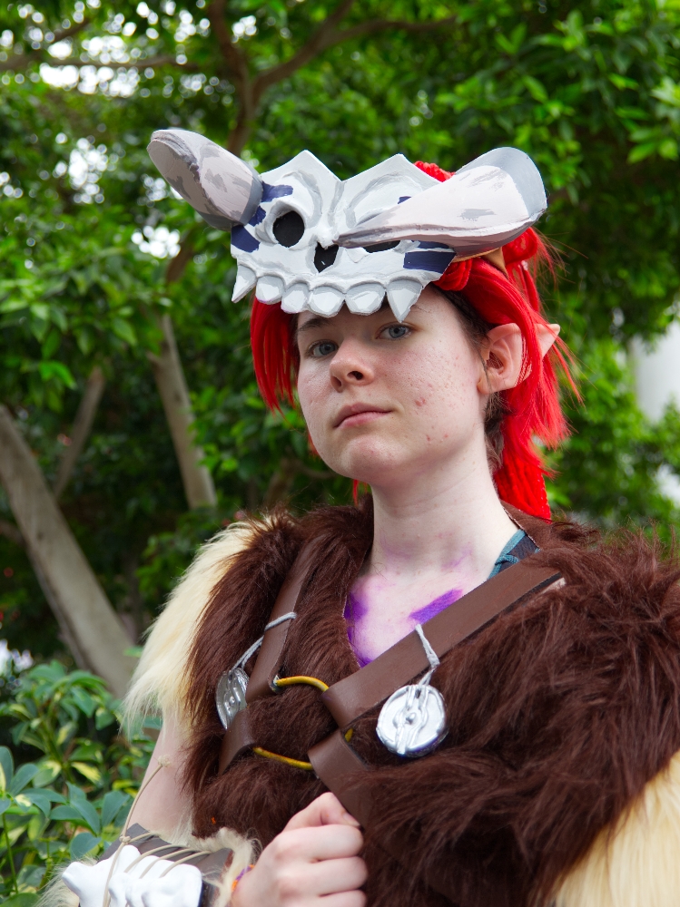 Barbarian link — photo 8