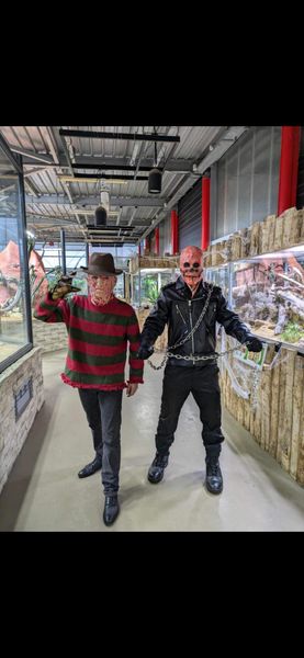Freddy-krueger - freddy krueger 