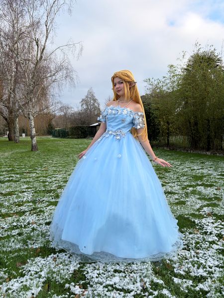 Tortue - Zelda snow 