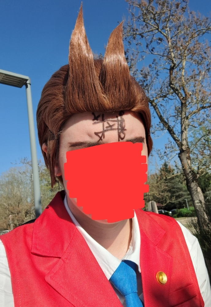 Apollo Justice — photo 17