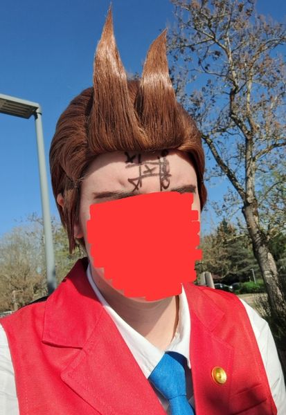 Zibi_game - Apollo Justice