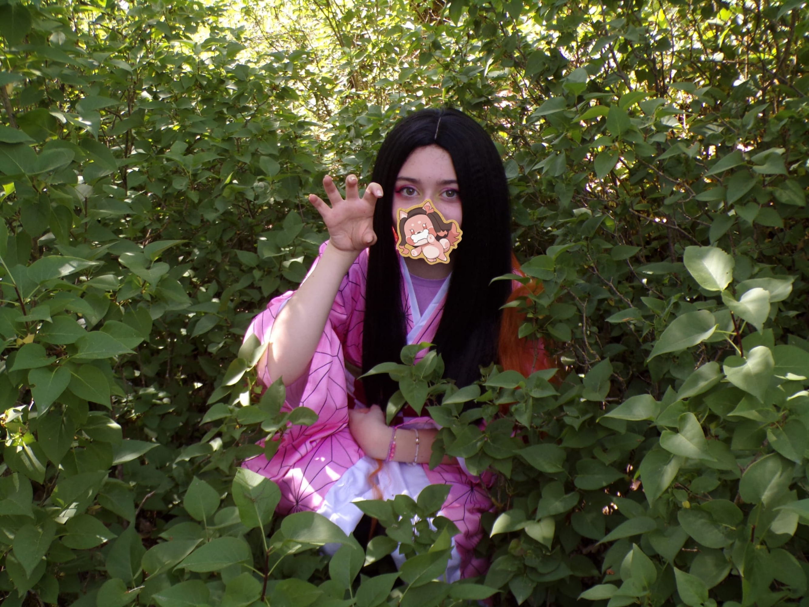 Nezuko — photo 13