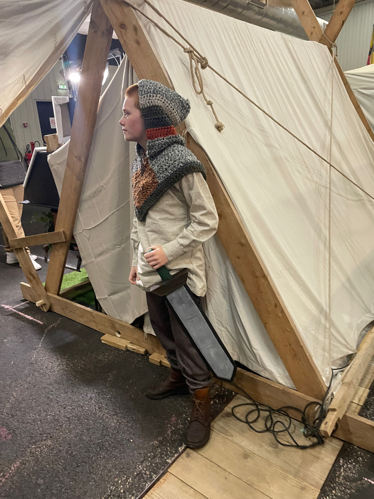 Viking — photo 6