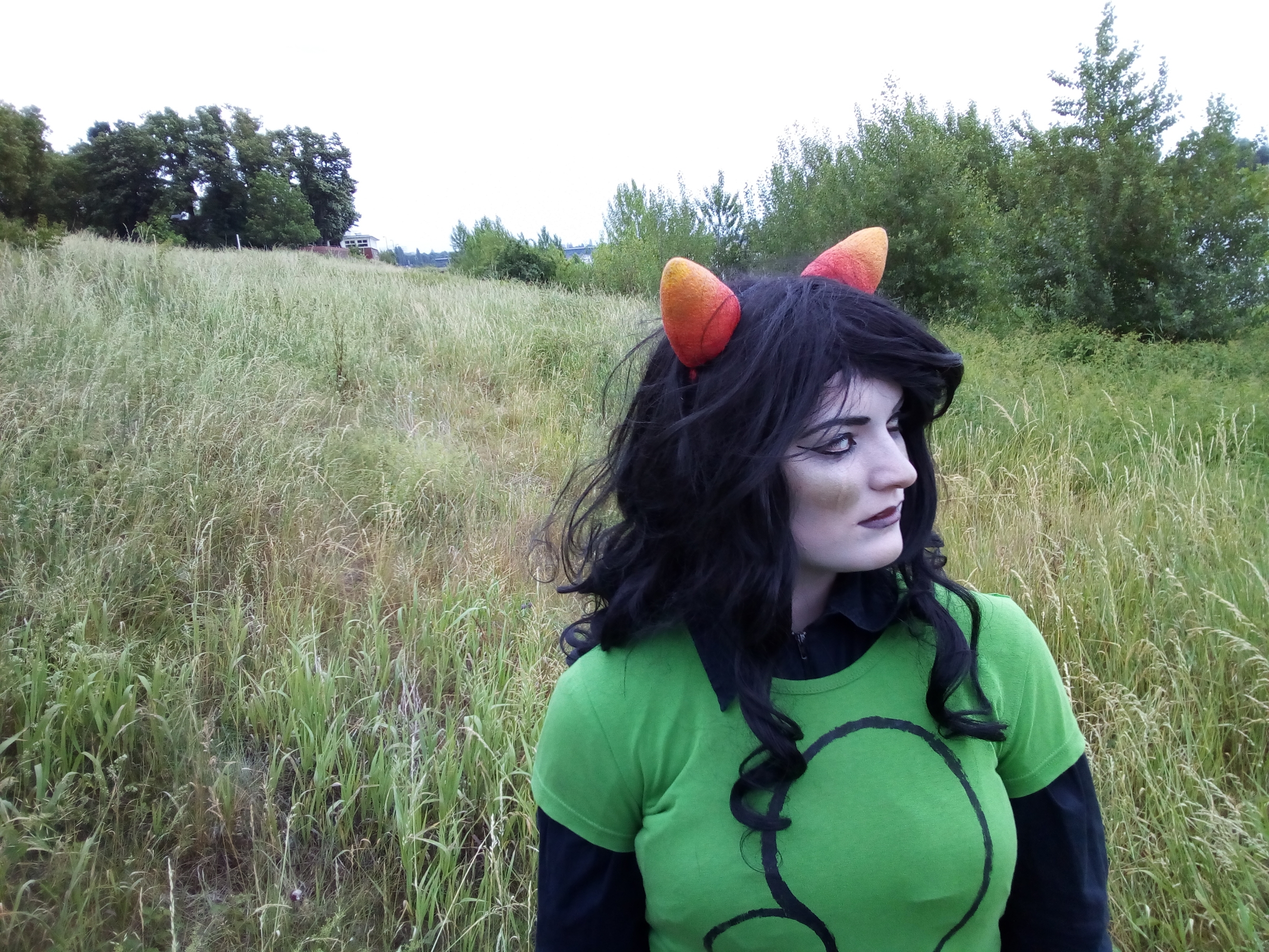 Meulin Leijon — photo 20