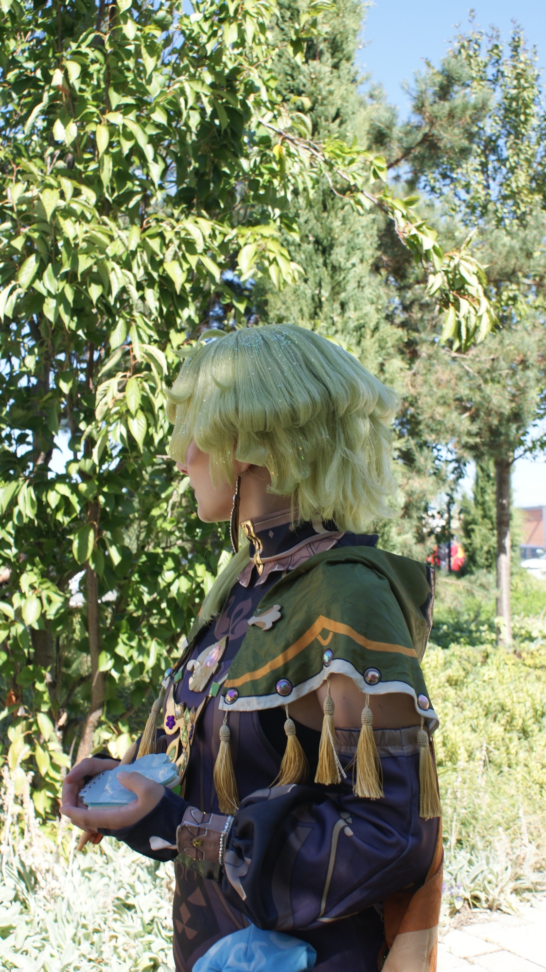 Collei — photo 31
