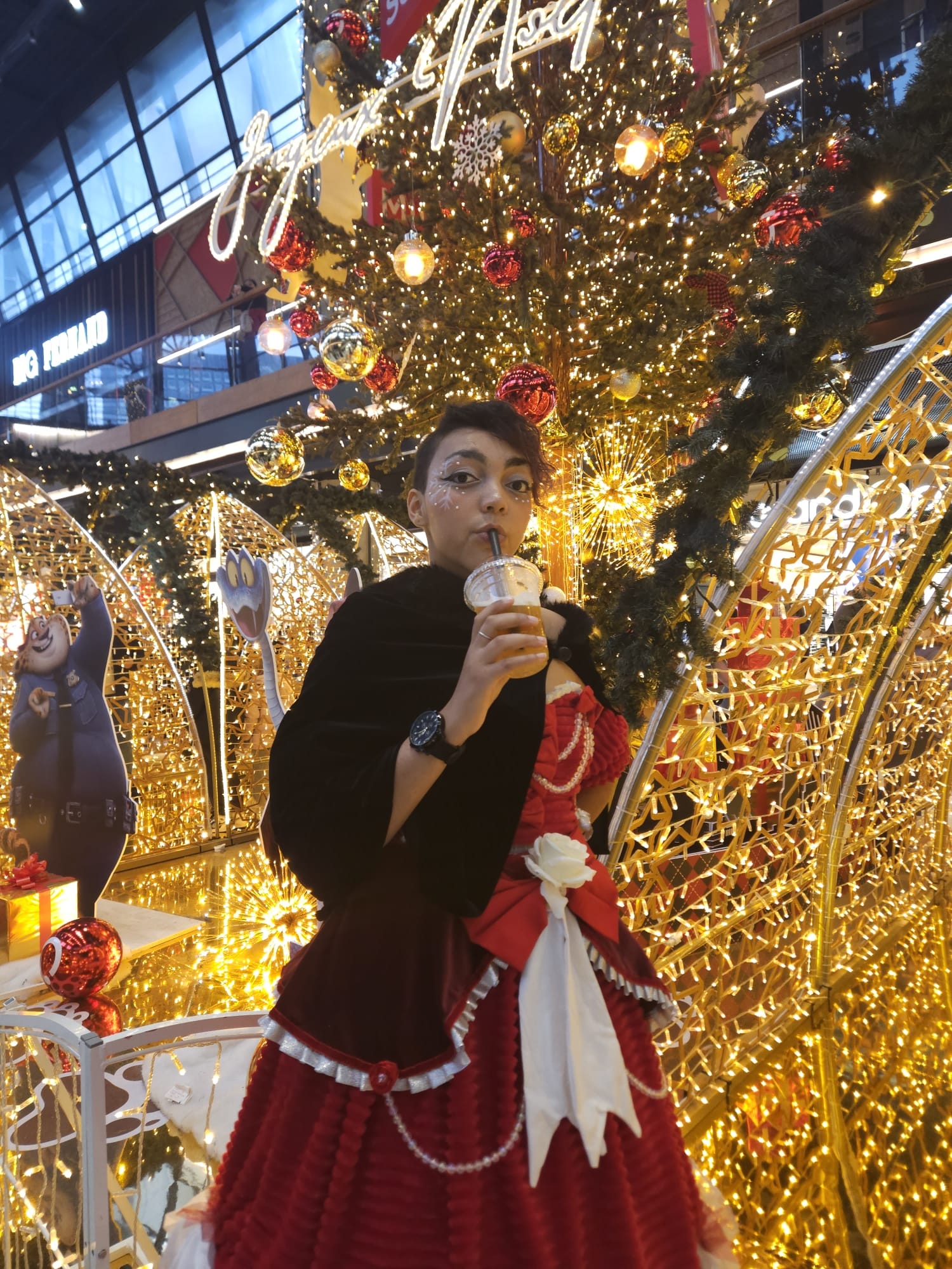 Mrs Claus — photo 9