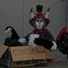 Husk preview 3
