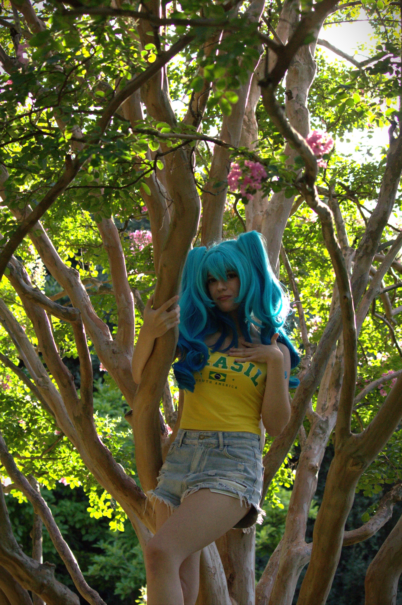 Hatsune Miku Brésil, photo 12