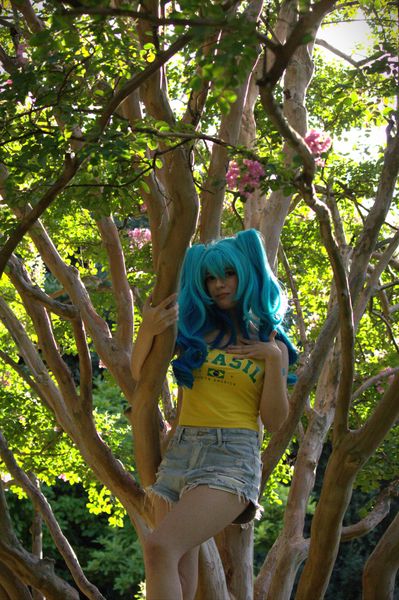 Lilco, Hatsune Miku Brésil 
