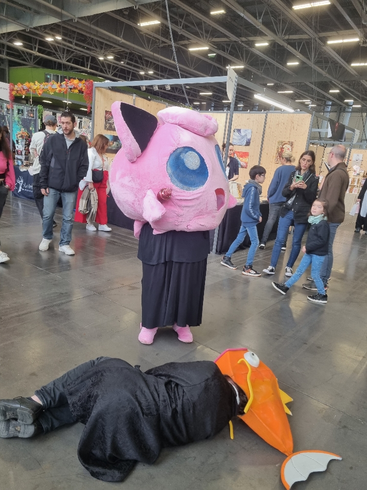 Rondoudou vs lord - Photo 5