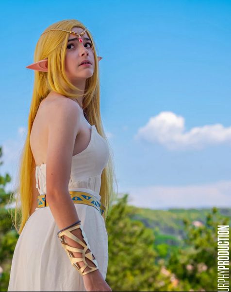 Haydio - Zelda - Zelda BOTW