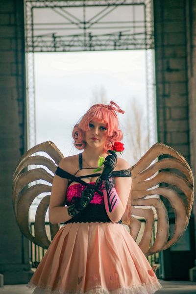 Haku - Cupid