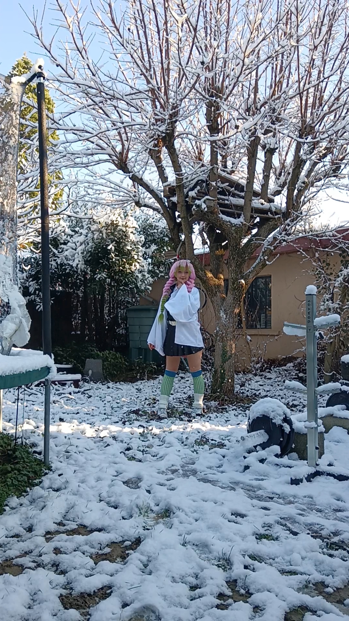 Mitsuri Kanroji - Photo 45