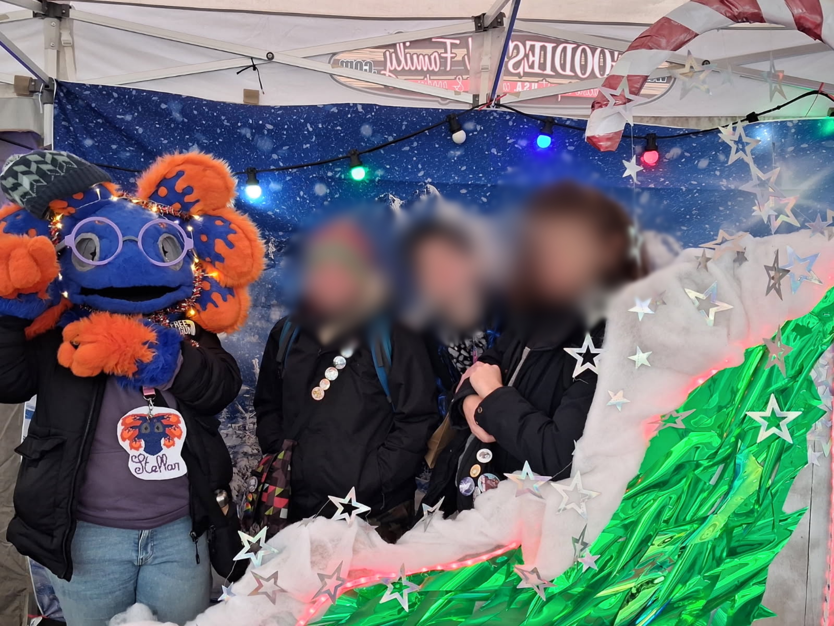 Marche de noel - Photo 2