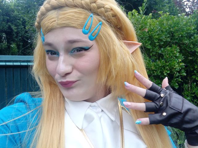 Shoot Zelda botw v2