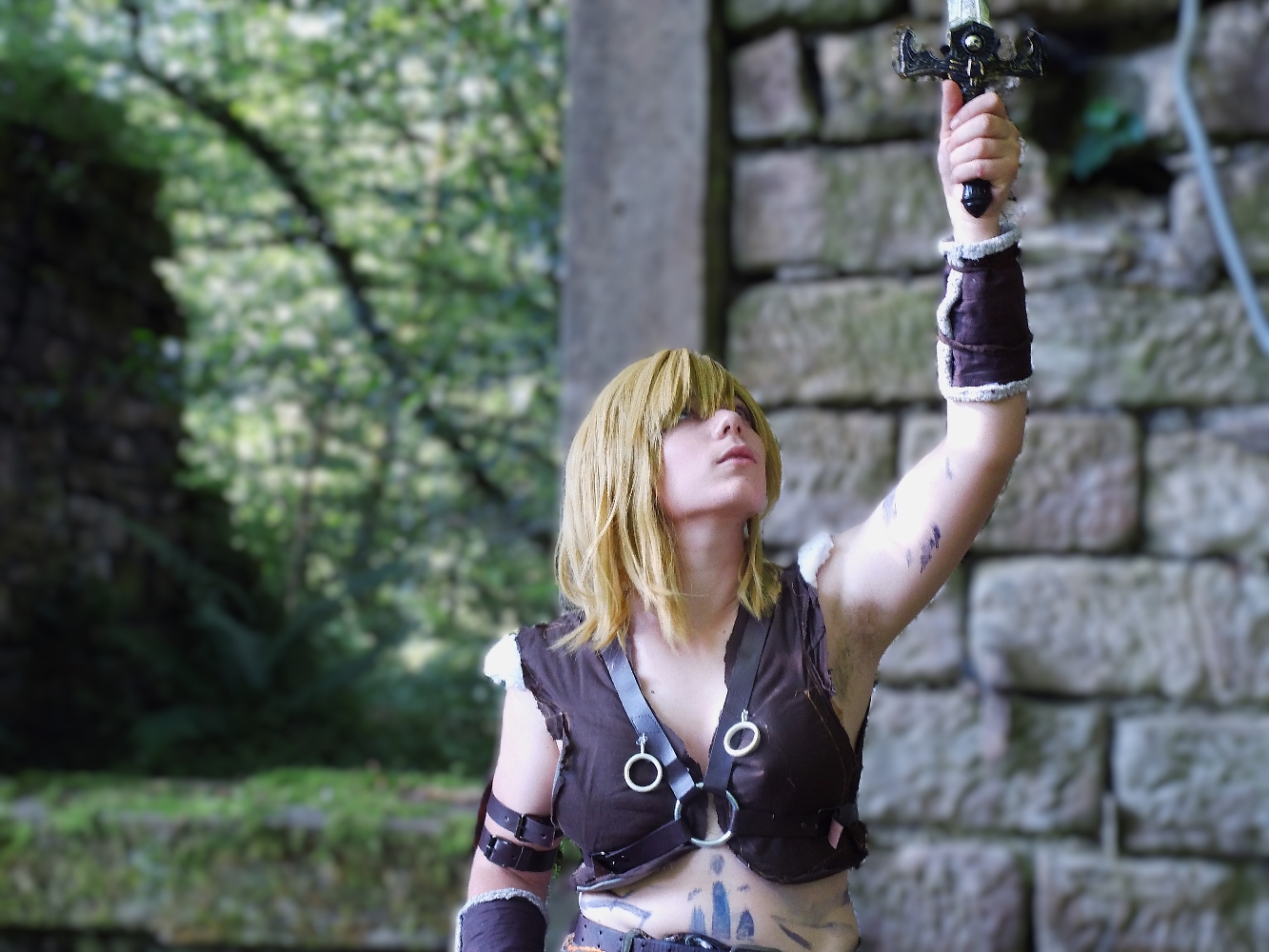 Link barbare  - Photo 8