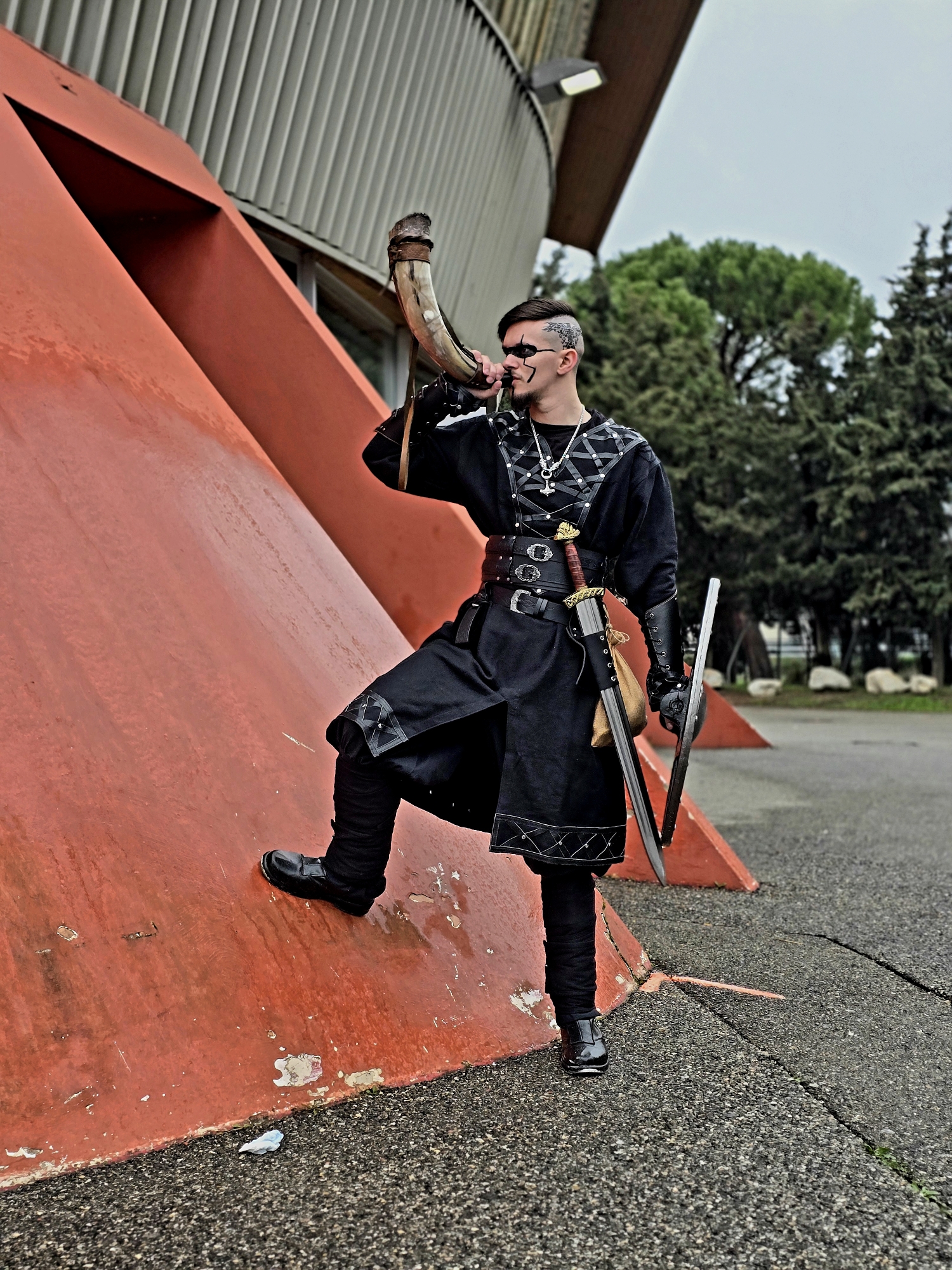 Viking, photo 10