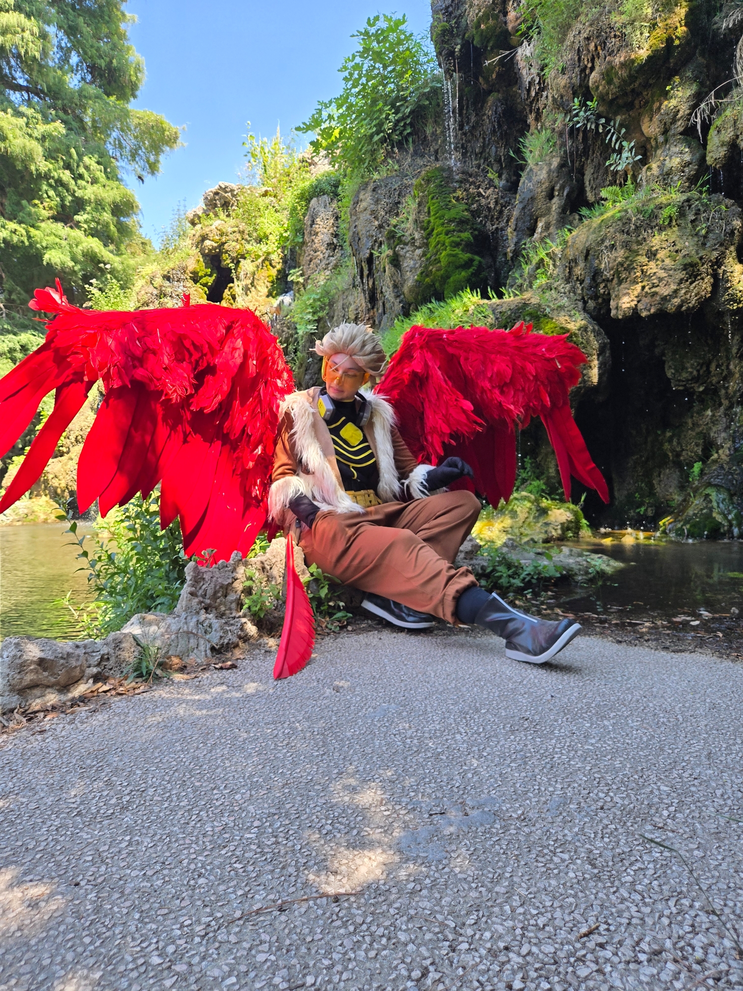 Hawks, photo 199
