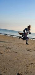 Gorou a la plage preview 2
