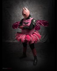 Batman Pink Fairy preview 2