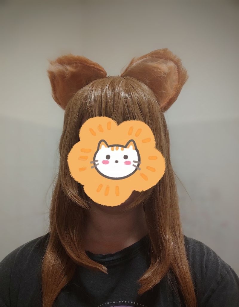 Akina – Wig Raphtalia 