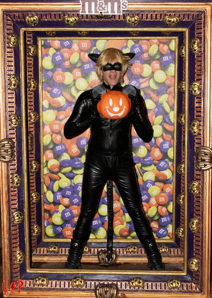 Miraculous Hallo 01 — photo 6