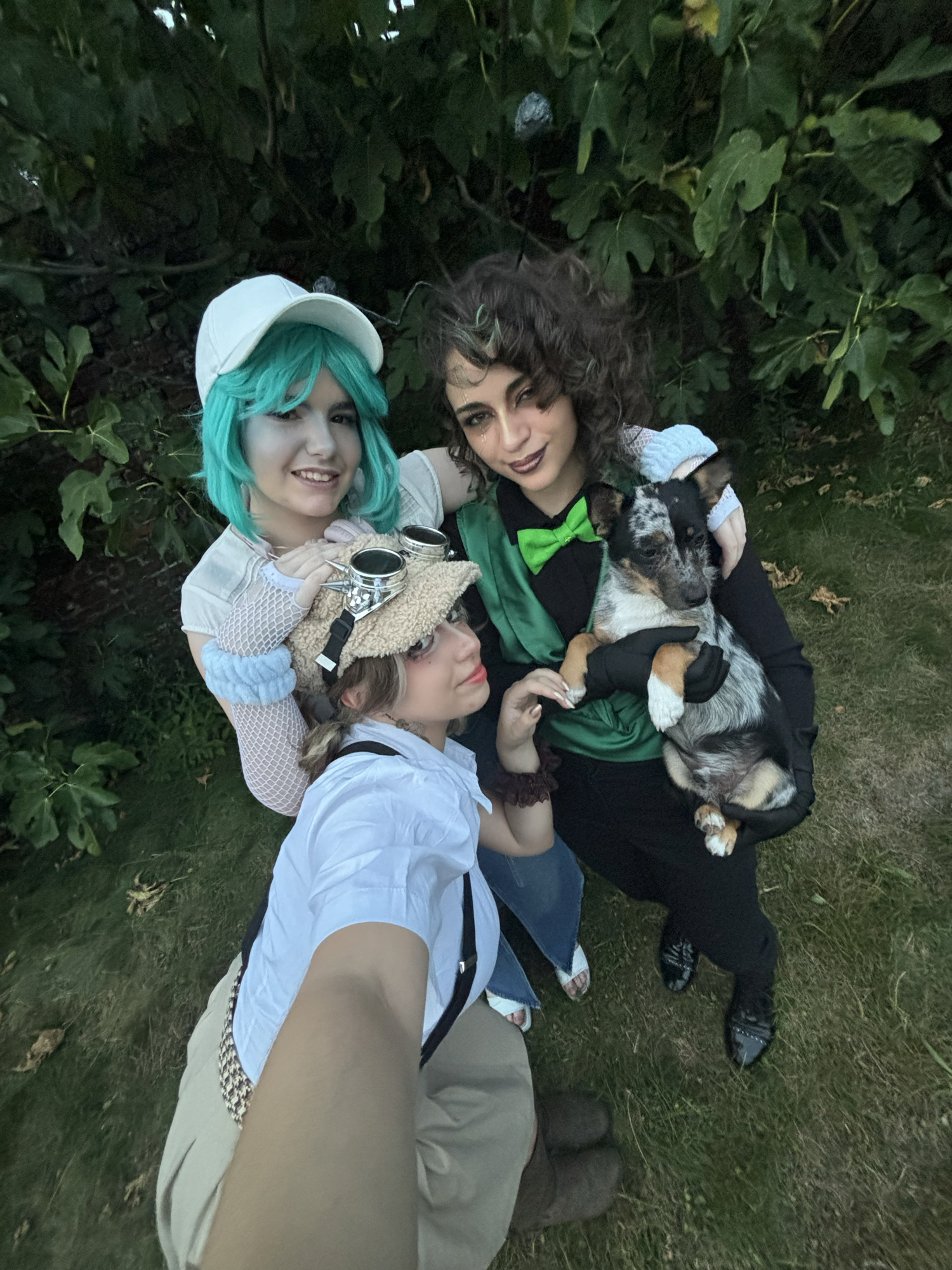 Shelly dandy’s(2025) - Photo 5