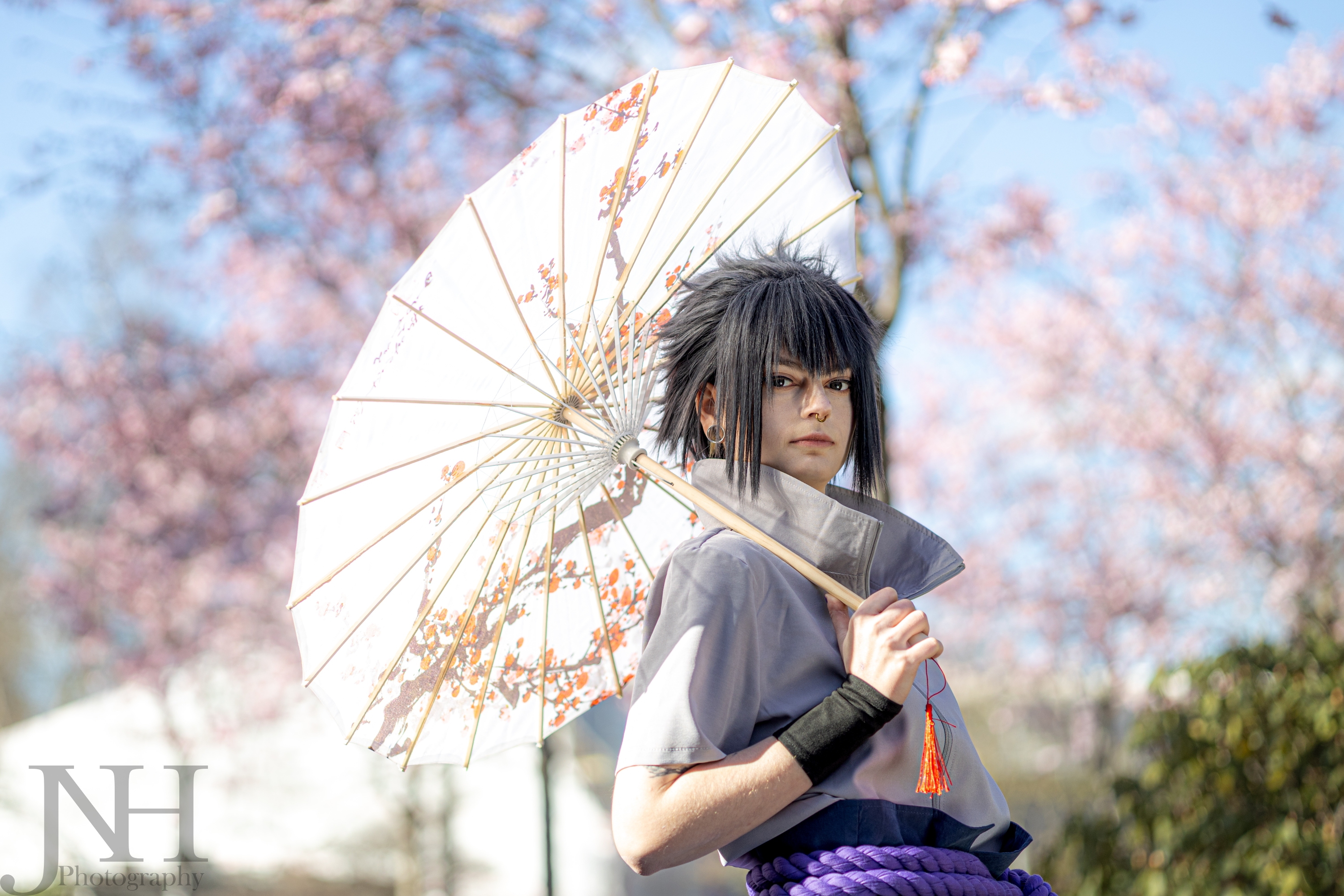 Cherry Blossoms — photo 6