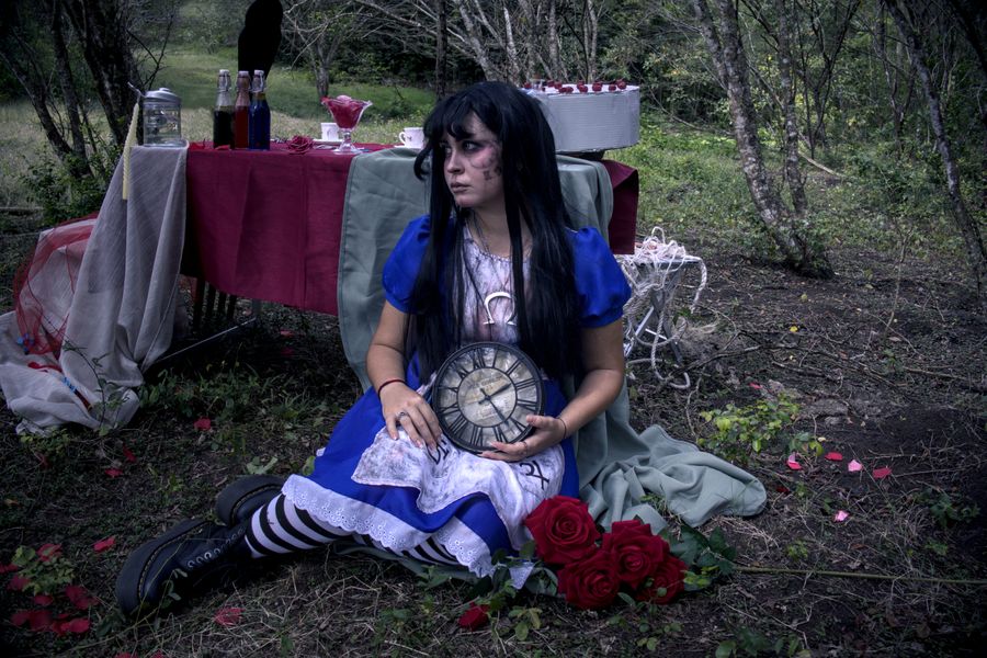 Vasaria - Alice Lidle 
