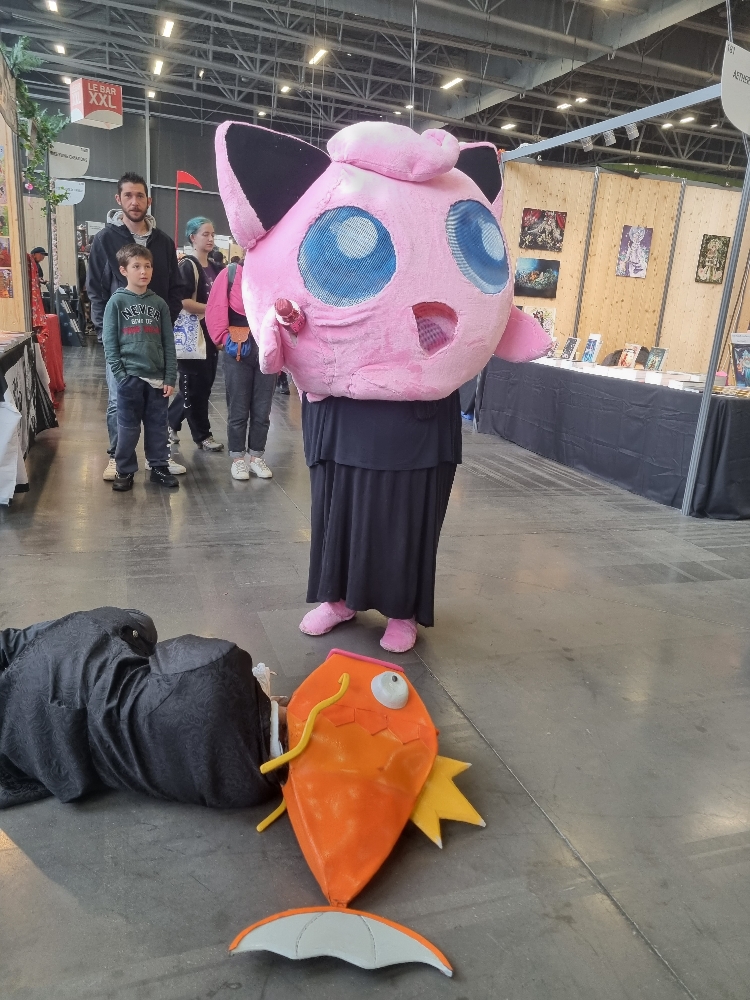 Rondoudou vs lord - Photo 1